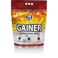 Gainer Professional Mass (5кг)